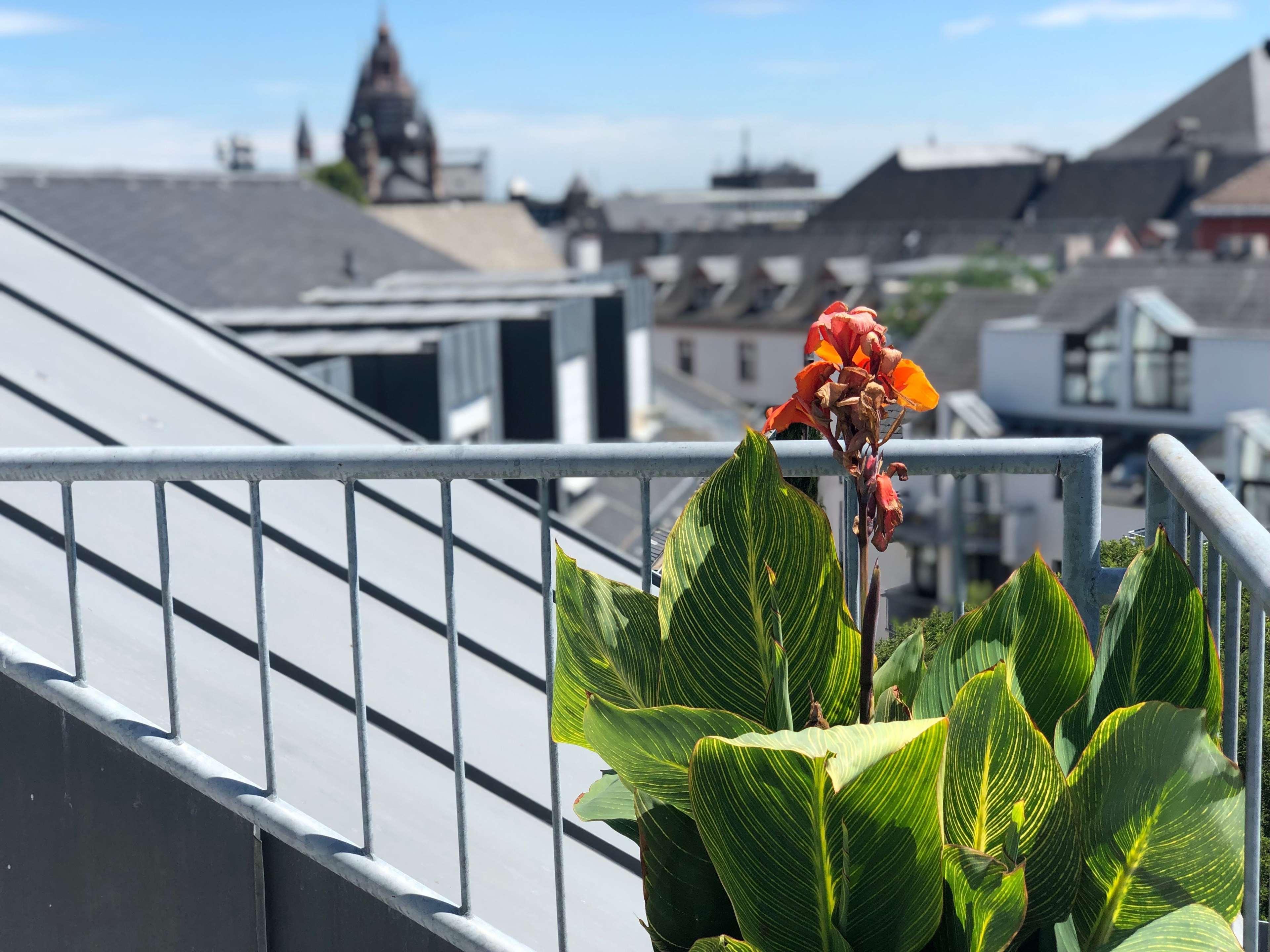 Brunfels Hotel, In The Unbound Collection By Hyatt Mainz Dış mekan fotoğraf
